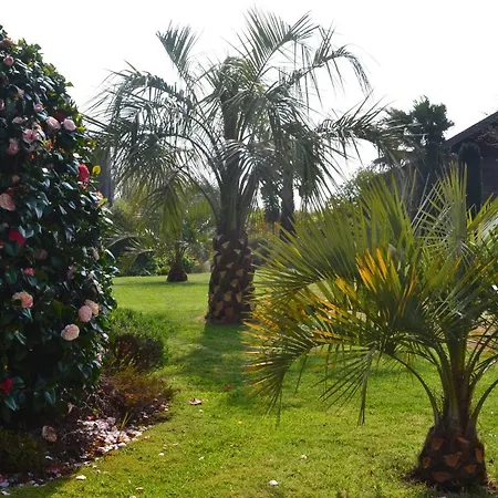 Guest house D'hotes Le Nid D'iroise Lanildut